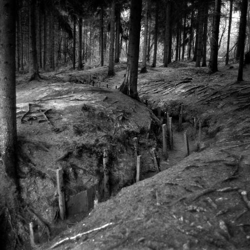 The remains of the trenches at Verdun by Brian Harris