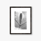 The Skylon- The Northcliffe Collection